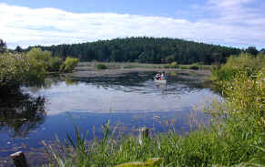 20 acre Wildlife Marsh 