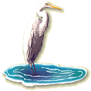 heron.gif - 6114 Bytes