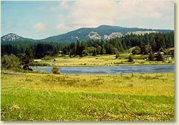 view toward Turtleback Mtn.